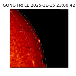 gong - 2025-11-15T23:00:42