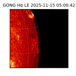 gong - 2025-11-15T05:00:42