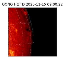 gong - 2025-11-15T09:00:22