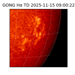 gong - 2025-11-15T09:00:22