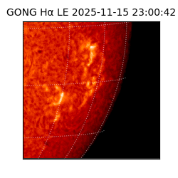 gong - 2025-11-15T23:00:42