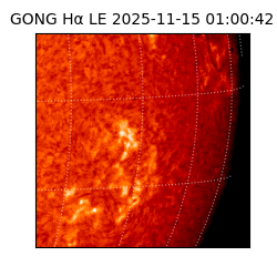 gong - 2025-11-15T01:00:42