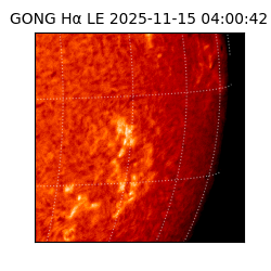 gong - 2025-11-15T04:00:42