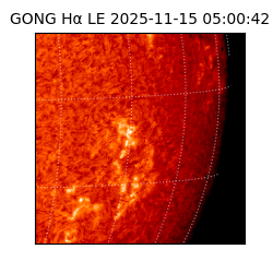 gong - 2025-11-15T05:00:42