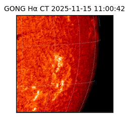 gong - 2025-11-15T11:00:42