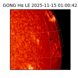 gong - 2025-11-15T01:00:42