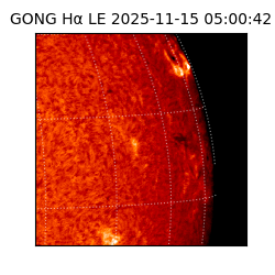 gong - 2025-11-15T05:00:42