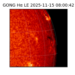 gong - 2025-11-15T08:00:42
