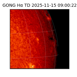 gong - 2025-11-15T09:00:22