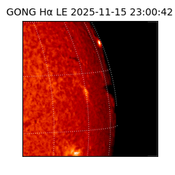 gong - 2025-11-15T23:00:42