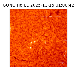 gong - 2025-11-15T01:00:42