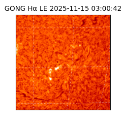 gong - 2025-11-15T03:00:42