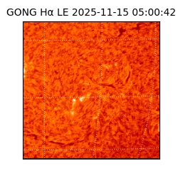 gong - 2025-11-15T05:00:42
