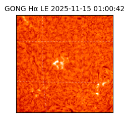 gong - 2025-11-15T01:00:42