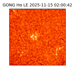 gong - 2025-11-15T02:00:42