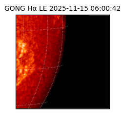 gong - 2025-11-15T06:00:42