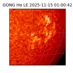 gong - 2025-11-15T01:00:42