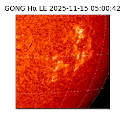 gong - 2025-11-15T05:00:42