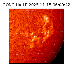 gong - 2025-11-15T06:00:42