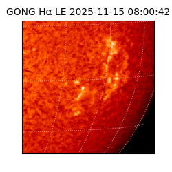 gong - 2025-11-15T08:00:42