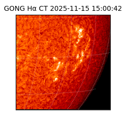 gong - 2025-11-15T15:00:42