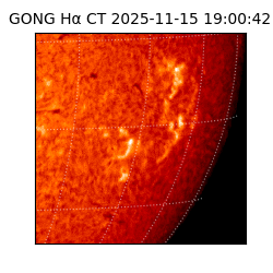 gong - 2025-11-15T19:00:42