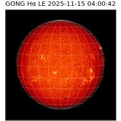 gong - 2025-11-15T04:00:42