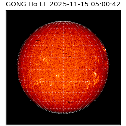 gong - 2025-11-15T05:00:42
