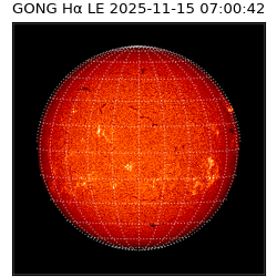 gong - 2025-11-15T07:00:42