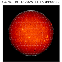 gong - 2025-11-15T09:00:22