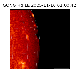 gong - 2025-11-16T01:00:42