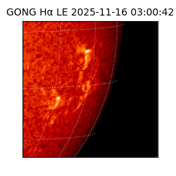 gong - 2025-11-16T03:00:42