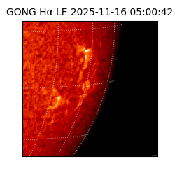 gong - 2025-11-16T05:00:42