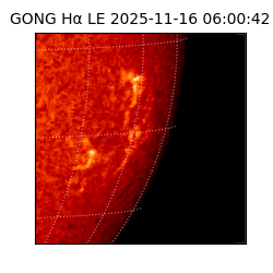 gong - 2025-11-16T06:00:42