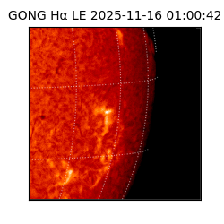 gong - 2025-11-16T01:00:42
