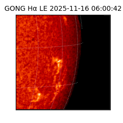 gong - 2025-11-16T06:00:42