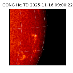 gong - 2025-11-16T09:00:22