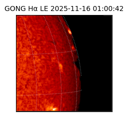 gong - 2025-11-16T01:00:42