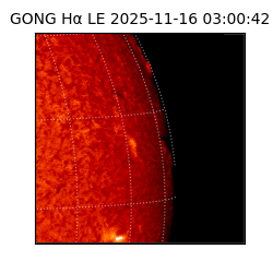 gong - 2025-11-16T03:00:42