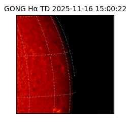 gong - 2025-11-16T15:00:22