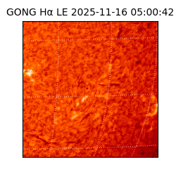 gong - 2025-11-16T05:00:42