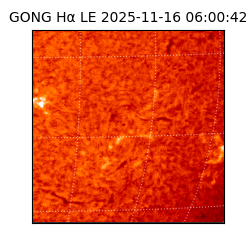 gong - 2025-11-16T06:00:42