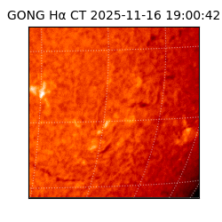 gong - 2025-11-16T19:00:42