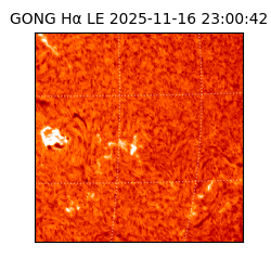 gong - 2025-11-16T23:00:42