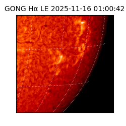 gong - 2025-11-16T01:00:42
