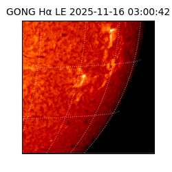 gong - 2025-11-16T03:00:42