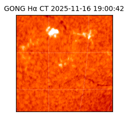 gong - 2025-11-16T19:00:42