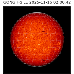 gong - 2025-11-16T02:00:42