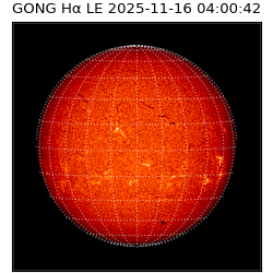 gong - 2025-11-16T04:00:42