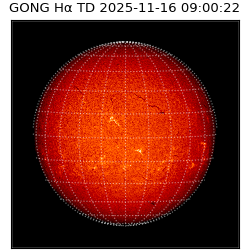 gong - 2025-11-16T09:00:22